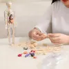 A person is assembling a 3D anatomical model of the human body, with the skeleton and internal organs laid out on a white table. Anteprima dell’immagine prodotto