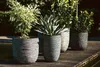 Four planters with plants on a wooden deck next to water. Náhľad obrázku produktu
