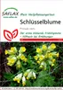 Artikelbild 1 von 'Schlüsselblume' aus der Kategorie Heilpflanzensamen Anteprima dell’immagine prodotto