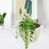 Cremefarbener Blumentopf aus Kunststoff mit Untertasse Produktbild-Vorschau 9