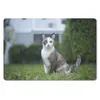 MuchoWow® Mauspad Mousepad Katze - Siamese - Gras - Mädchen Produktbild-Vorschau 1