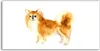 Coloray Acrylbild 120x60  Wandbild Acrylbilder Foto Produktbild-Vorschau 1