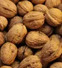 A close-up, overhead view of a pile of walnuts. Produktbild-Vorschau