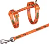 Geschirr mit Leine 23–39 cm/10 mm diverse Voir les images du produit 4