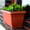 A terracotta planter box filled with green plants sits on a windowsill. Náhľad obrázku produktu