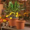 Květináč GEO plastový terakota d55x41cm Náhled obrázku produktu 3