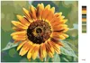 Zuty - Malen nach Zahlen - SONNENBLUMENBLÜTE, 40x50 cm, mit Produktbild-Vorschau 3