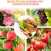Rosen-Pflanzenschere 165 mm Edelstahlklingen Blumenschere Produktbild-Vorschau 4