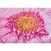 Intex 58787 Nafukovací matrac Daisy 142x142cm Náhľad obrázku produktu 7
