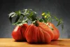 SAFLAX - BIO - Tomate - Ochsenherz - 10 Samen - Solanum Produktbild-Vorschau 7