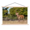 MuchoWow® Textilposter Tiere - Hirsche - Geweihe - Produktbild-Vorschau 1
