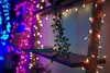 A shelf decorated with fairy lights and a hanging plant. Náhled obrázku produktu