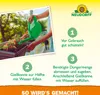 Neudorff Azet BlumenDünger - 1 Liter Produktbild-Vorschau 6