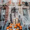 Halloween-Spinnennetz Deko-Set 100 g Spinnweben 60 Spinnen Produktbild-Vorschau 3
