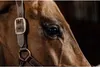 Copricapo Kentucky Horsewear per cavezza in pelle Anatomic Anteprima dell’immagine prodotto 6
