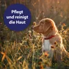 Canosept Wundspray für Hunde 75ml - Zur Reinigung und Produktbild-Vorschau 5