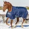 A brown horse wearing a navy blue blanket is running in the snow. Anteprima dell’immagine prodotto