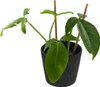 Bloempot, decoratief, geperforeerd, 22,5 cm, zandkleurige Productafbeelding-voorbeeld 3