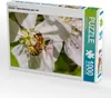 CALVENDO Puzzle Biene beim Nektar sammeln | 1000 Teile Produktbild-Vorschau 1