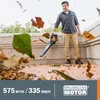 WORX Wg583e 40V Akku-Staubsauger-Gebläse-Häcksler Produktbild-Vorschau 3