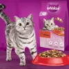 ‎Whiskas 5900951014345, Dospělý jedinec, Jakékoli plemeno, Náhled obrázku produktu 2
