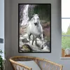 Pferd am Wasserfall Bob Langrish - Poster 61x91,5 cm Produktbild-Vorschau 2
