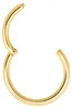 Wildcat Piercingringe - Hinged Segmentring aus Produktbild-Vorschau 2