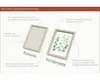 Gerahmtes Bild Eucalyptus Branches I 19x24 cm Produktbild-Vorschau 3