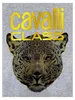 Cavalli Class Damen-Sweatshirt ohne Verschluss Jildou Produktbild-Vorschau 4