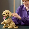 LEGO Icons Golden Retriever Welpe - Modellbau für Produktbild-Vorschau 6