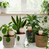 Relaxdays Waterbollen, set van 4, 350 ml, Productafbeelding-voorbeeld 2