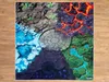 SkippiDoo Spielteppich Fantasy 120x120cm – 5 Welten mit Produktbild-Vorschau 1