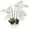 Plante artificielle ORCHIDE, pot blanc, 65 cm Voir les images du produit 1