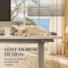 FLEXISPOT EC5-Lite Pied de table réglable en hauteur Voir les images du produit 10