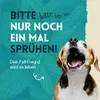 nimo® Zahnpflegespray Dentalspray | für Hunde, Katzen & Produktbild-Vorschau 4