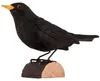 Wildlife Garden Dekovogel Amsel Produktbild-Vorschau 1