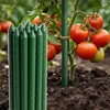 Tomatenstäbchen 150 Cm Pflanzenstütze Aus Stahl 11 Mm, Produktbild-Vorschau 2