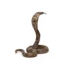 Papo- Figura Cobra Reale 5X5,5X6,6CM, Colore Beige - Anteprima dell’immagine prodotto 6