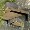 Two wooden shelves with black metal brackets mounted on a patterned wall. A plant is on the top shelf, and another plant is on the smaller shelf below. Produktbild-Vorschau