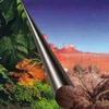 Aqua Della Fotorückwand Dschungel und Wüste, Maße: 60 x 30 Produktbild-Vorschau 1