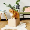 Creative Pets Katzen Kratzbrett Kratzpappe verstärkt mit Produktbild-Vorschau 4