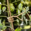 Windhager Jute Bindedraht 10 m Produktbild-Vorschau 2