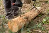 Pinze per legna - 450 mm Anteprima dell’immagine prodotto 4