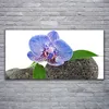 Acrylglasbilder 120x60 Wandbild Druck Blume Pflanzen Produktbild-Vorschau 2