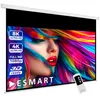 ESMART Professional MIMOTO Motor-Leinwand 334 cm Bild 297 x Produktbild-Vorschau 1