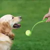 Relaxdays Ballschleuder für Hunde, 2er Set Ballwerfer, Produktbild-Vorschau 2