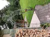 Rosenbogen HOLLAND Lilie-Spitze Gesamtbreite 2,20 m Produktbild-Vorschau 7
