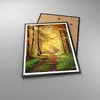 Gerahmtes Poster - Schwarzer Rahmen - Wald Baum Natur - Produktbild-Vorschau 3