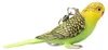 Mojo Farm Pets Prívesok na kľúče Budgerigar Green - 387460 Náhľad obrázku produktu 2