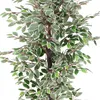 Blanc Ficus Benjamina Plante Arbre Artificielle Artificiel Voir les images du produit 2
